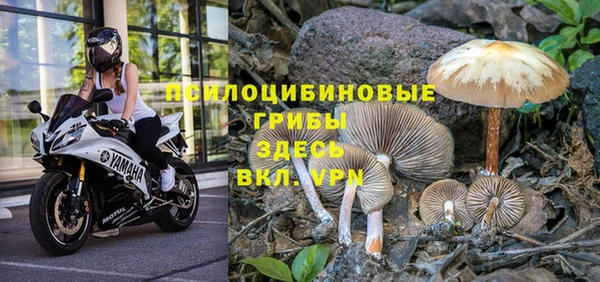 герыч Аркадак